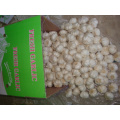 Verschiedene Pakete von Jinxiang Pure White Knoblauch